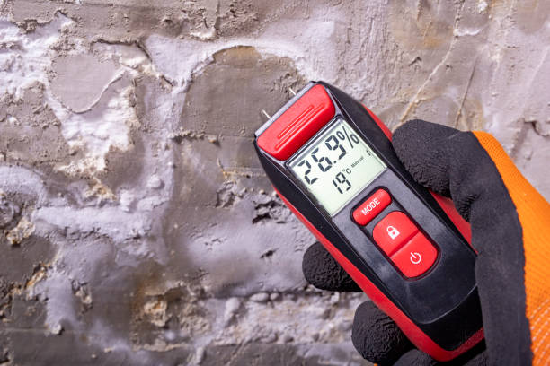 Best Post-Flood Mold Remediation in Feasterville, PA
